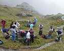 2200 m, 1re pause  la limite du brouillard