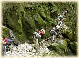 Passage glissant, rocher moussu...