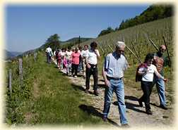 Sur le GR 595, le soleil commence  taper fort sur les vignes mais surtout sur nous