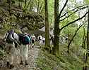 Sur le sentier rive droite