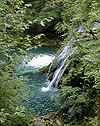 ... le Grand Saut