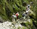Passage glissant, rocher moussu...