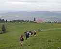 Descente  travers champs vers les illettes
