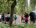 Pause dans le bois du Laizeret, encore des Cardamines