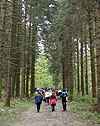 Dans le bois du Laizeret
