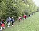 En lisire du bois du Mont Chatelard