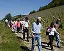 Sur le GR 595, le soleil commence  taper fort sur les vignes mais surtout sur nous